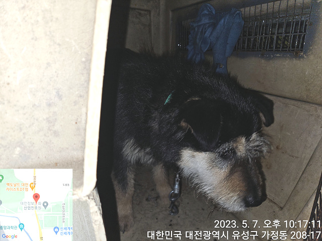 대전동물보호센터_430367202300272